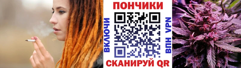 Шишки марихуана семена  Ярцево 